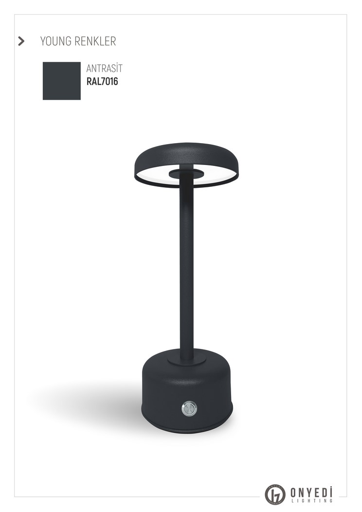 Young Şarjlı Masa Lambası22